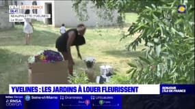 Yvelines: le franc succès des locations de jardins