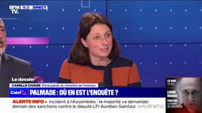 Accident de Pierre Palmade: "Nous avons tous les éléments qui nous permettent de remonter vers les personnes" en fuite, assure la porte-parole du ministère de l’Intérieur