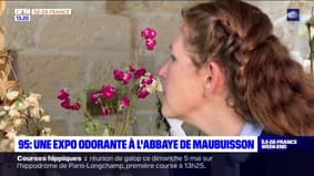 Ariane a testé une expo odorante à l'Abbaye de Maubuisson