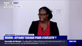 Rouen: "Depuis le début de cette catastrophe industrielle, l'attitude du gouvernement a toujours été cohérente", assure Sibeth Ndiaye