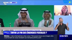 "Mi-figue, mi-raisin": Sandra Regol, vice-présidente du groupe écologiste à l'Assemblée, réagit à l'accord de la COP28