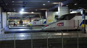 Les trains sont à l'arrêt, ce dimanche matin à la Gare de Montparnasse de Paris.
