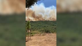 Un incendie dans l'Hérault ce mardi 26 juillet 2022.