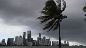 Miami lors du passage de la tempête tropical Isaias, le 1er août 2020.