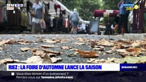 Riez : La foire d'automne lance la saison