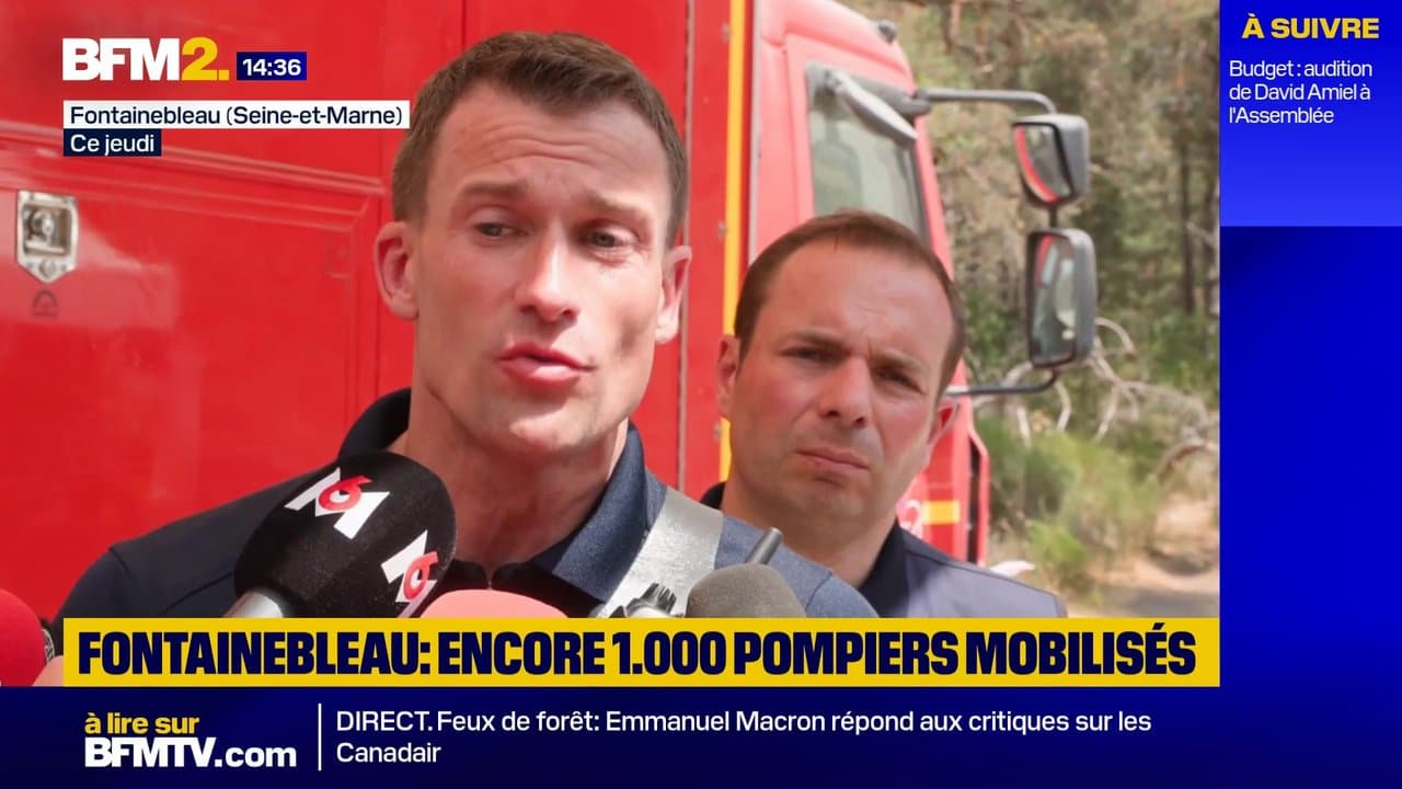Incendie de Fontainebleau: les pompiers ont travaillé pour "pouvoir rouvrir au plus vite" l'autoroute A6