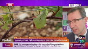 "C'est l'année sans aléas (climatiques) qui est devenue exceptionnelle", s'inquiète Jean-Marie Fabre