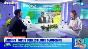 Le café des jardiniers : focus sur les fleurs de la Toussaint