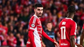 Le Brestois Pierre Lees-Melou célèbre un but face à Leverkusen en Ligue des champions, le 23 octobre 2024