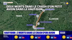 Haut-Rhin: deux morts dans le crash d'un petit avion
