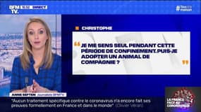 Puis-je adopter un animal de compagnie en cette période de confinement? BFMTV répond à vos questions