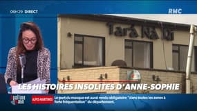 En Irlande, un pub se reconvertit en clinique vétérinaire pour animaux sauvages