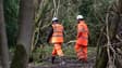 Des ouvriers aperçus le 25 février 2020 dans une forêt de Leamington Spa où doit passer la future LGV