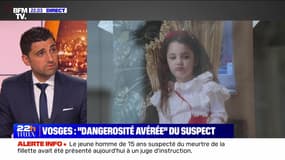 Vosges : "Dangerosité avérée" du suspect - 27/04
