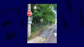 Un chien décapité a été découvert dans une rue de Brunoy, dans l'Essonne
