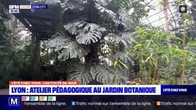 L'été chez vous: un atelier pédagogique au jardin botanique de Lyon