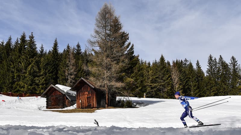 Un skieur nordique dans le Tyrol, le 3 mars 2019 (image d'illustration).