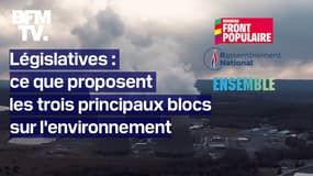 Environnement: ce que proposent les trois principaux blocs dans leur programme pour les législatives