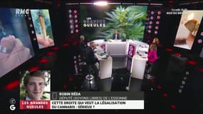"Il faut que les politiques arrêtent d’être en décalage avec la société": pourquoi la droite s'empare du sujet de la légalisation du cannabis?