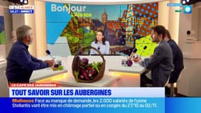 Le Café des Jardiniers: tout savoir sur les aubergines