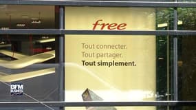 Free, SFR, Bouygues Telecom et Orange s'engagent à éliminer les "zones blanches"