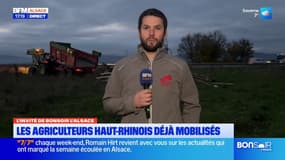 "L'agriculture va mal, les trésoreries sont à sec", avertit un représentant des Jeunes agriculteurs dans le Haut-Rhin