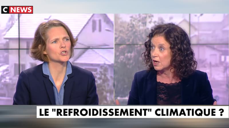 La militante écologiste Claire Nouvian, face à la chroniqueuse Elisabeth Lévy, lundi 6 mai, dans l'émission "L'heure des pros" sur CNews. 