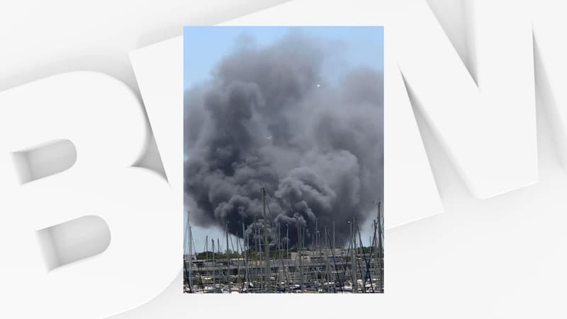 Un incendie s'est déclaré ce lundi 13 juin au camping de l’Espiguette du Grau-du-Roi.