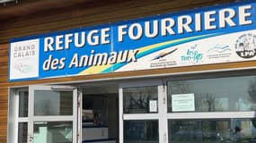 La Ligue de protection des animaux du Calaisis a réalisé avec les forces de l'ordre une opération de sauvetage, le 13 septembre 2024. 