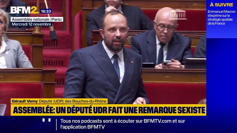 "Madame Rousseau, vous nous cassez les oreilles", lance le député (UDR) Gérault Verny à la députée écologiste