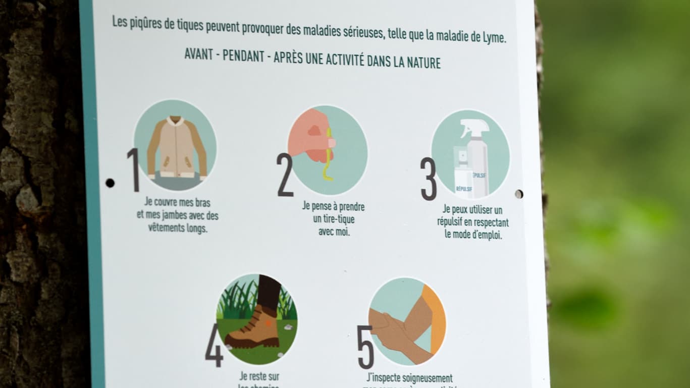 Znak na drzewie, Zapobieganie ukąszeniom kleszczy (Ixodes ricinus) w lesie, pod Ballon de Servance, Plancher les Mines, Haute-Saône, Wogezy (Francja). (Zdjęcie ilustracyjne)