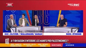 Manif pro-Palestine : "Chacun manifeste pour qui il veut !" 