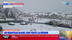 Chutes de neige en Seine-Maritime: comment les routes sont-elles sécurisées? 