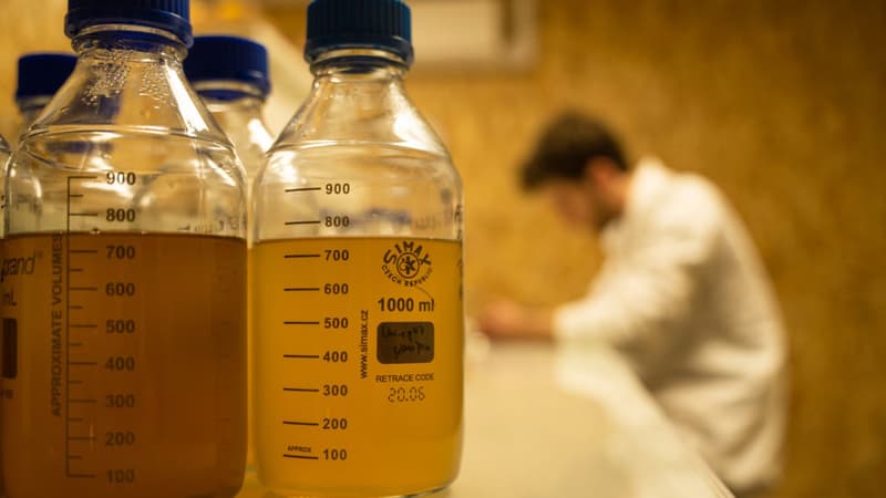 Une startup française, Toopy, a créé un engrais à base d'urine