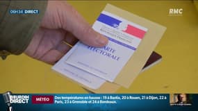 Elections européennes: une majorité de Français encore indécis sur leur choix de vote?