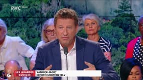 Le Grand Oral d'Yannick Jadot, député européen EELV - 28/08