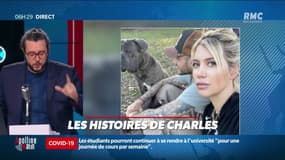 « Les 3 histoires de Charles Magnien » : A Nantes, la police interpelle un homme qui chevauchait une jument en pleine rue et Icardi indigne les internautes - 01/04