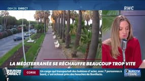 Objectif Terre : La Méditerranée se réchauffe beaucoup trop vite - 14/10
