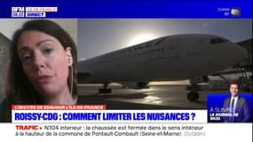 Une pétition en ligne demande le plafonnement du trafic de l'aéroport Roissy Charles-de-Gaulle