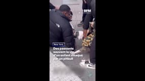 New York: des passants sauvent la vie d'un enfant attaqué par un pitbull