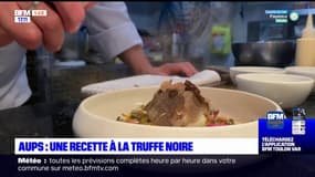 Var: la truffe noire est de retour cette année