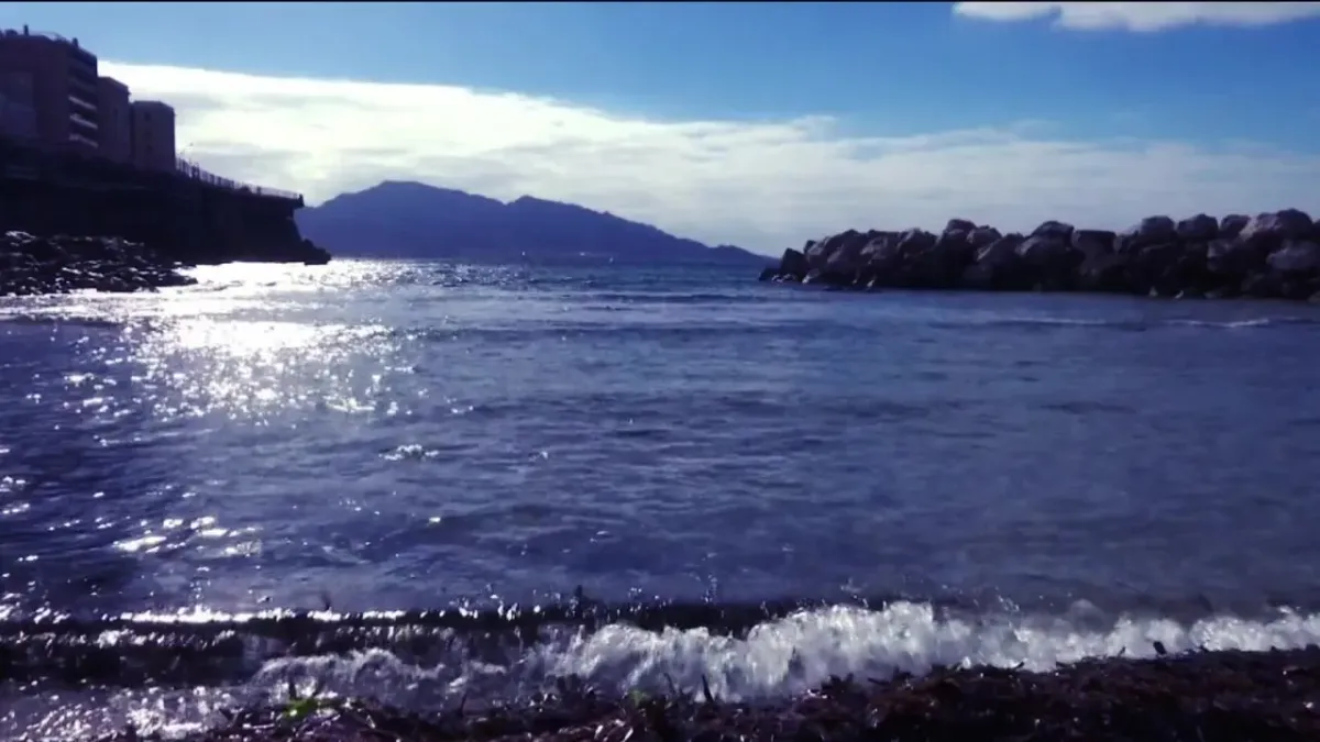 placeholder video