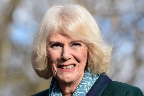 Camilla Parker Bowles - Illustrative Image 