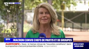 "Trouver des compromis à défaut de trouver des consensus": Dominique Faure (ministre déléguée démissionnaire des Collectivités territoriales et de la Ruralité) évoque les consultations à l'Élysée