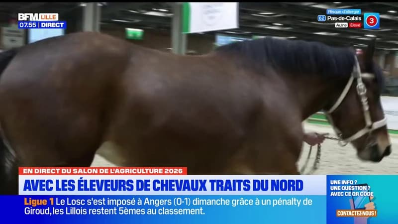Découvrez les Traits du Nord au Salon de l'Agriculture
