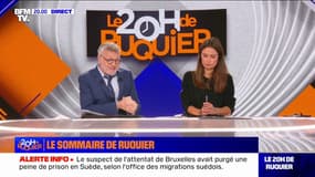 Sommes-nous trop naïfs face au terrorisme et peut-on expulser tous les radicalisés?: le sommaire du 20h de Ruquier