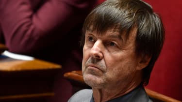 Nicolas Hulot, ministre de la Transition écologique