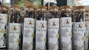 Des gousses de vanille présentées sur le stand de Mayotte, lors de la 61ème édition du Salon international de l'agriculture (SIA), le 24 février 2025 à Paris.