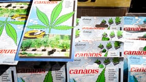Un stand de vente de graines de cannabis.