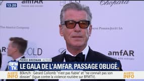 Festival de Cannes : le gala de l'amfAR, passage obligé